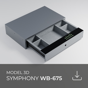 WB-675